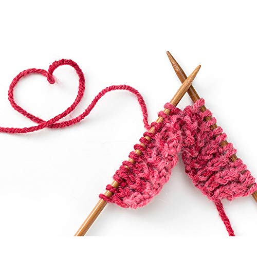 5 Exquiss+Knitting+Needles+Circular+Colored