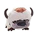 Nickelodeon Universe Appa 18