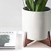 Modern Ceramic White Round Medium Flower Pot 8.5 inch |Liverpool Model for Indoor Large Planter | Fits in 10 and 11 inch Mid Century Plant Stands | Cylinder Ceramic Round Plant Potsthumb 3