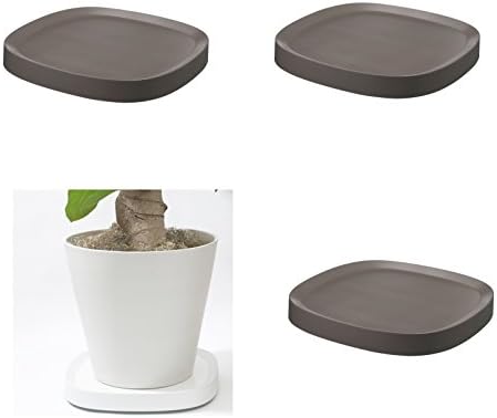 Plantable プランタブル 誕生日 お祝い キャスター付き 植木鉢トレー ｌサイズ ブラウン ３個セット 店舗 受皿 鉢台 ティディ 自宅 Tidy 鉢皿