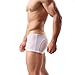2-Pack Men Boxer Briefs Shorts Bulge Pouch Soft Underpants See-through Underwear 828 ( X-Large, white/black)