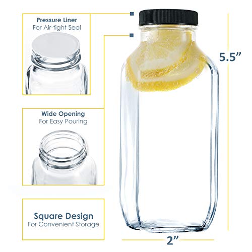 DilaBee Glass Juice Bottles with Lids [12 Pack] Bulk Glass Water