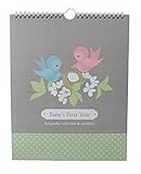 Baby's First Year Calendar Keepsake with Milestone Stickers 