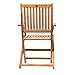 Amazonia London 2-Piece Certified Teak Patio Folding Armchair