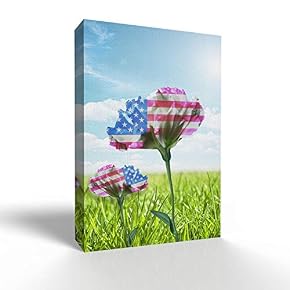 US Flag on Flower