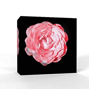 Wall26-Canvas Wall Art-Black Back Ground Flower-Giclee Painting Wall Bedroom Living House Decoration Home Art - 12x12 inches