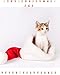 The Christmas Cat