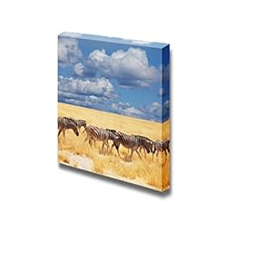 Canvas Prints Wall Art - A Group of Zebras and Yellow Grass on African Savannah | Modern Wall Decor/Home Art Stretched Gallery Wraps Giclee Print & Wood Framed. Ready to Hang - 12" x 12"