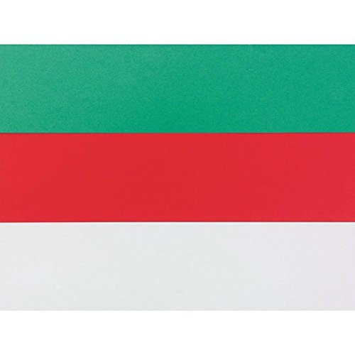 Tru-Ray Seasonal Sulphite Construction Paper - Holiday Colors, 9"x12" (Pack of 300) - SSW-PE1489