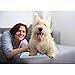 Stella Puppy Training UnderPads Super Absorbent Large Doggie Pet Incontinence Bedding and Furniture Protection Disposable Pad 22 x 23, 100 Count.