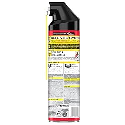 Raid Max Ant and Roach Spray