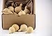 Crafters Dream Box of 20 dried gourds - Small Tennessee Spinner - Hand grown and Everlasting