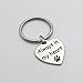 IDLAN Pet Dog Memorial Keychain Always In My Heart Pet Paw Memorial Keychain Pet Sympathy Gift