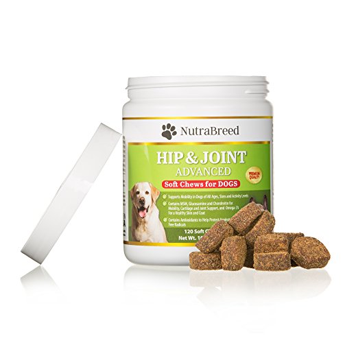 NutraBreed Dog Joint Supplements Premium Glucosamine Plus Chondroitin