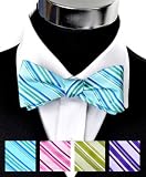 Bowart Stripes Freestyle Silk Bow Tie
