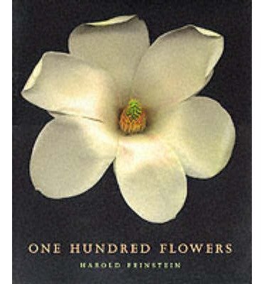 The Chocolate Touch Activities Ray Tatum Vanhala Books Site - 