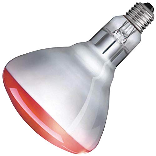 Philips Heat Lamp R40 Flood Light Bulb: 250-Watt, Medium Screw Base in ...