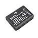 LP LP-E10 Battery Rechargeable, Compatible with Canon EOS Rebel T7, T6, T5, T3, T100, 4000D, 3000D, 2000D, 1500D, 1300D, 1200D, 1100D & More (Not for T3i T5i T6i T6s T7i) primary