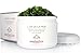 YUNASENCE L'OR DE LA MER Organic Anti Cellulite Body Blaster Scrub with Sea Salt, Seaweed, Lemongrass 13oz Smoothing Exfoliating Moisturizing Skin Massage Treatment.