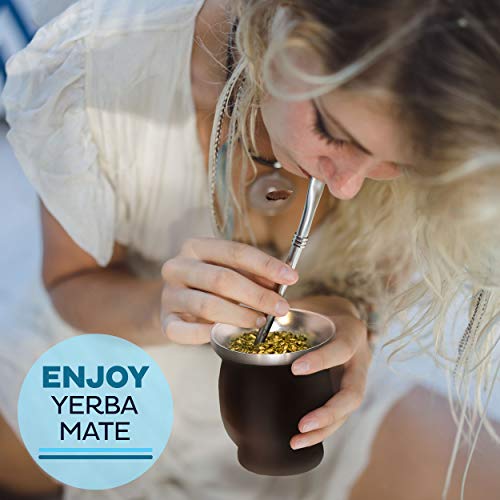 Yerba Mate Bombilla Straw Set of 2 with Cleaning Brush | Reusable Stainless Steel Straws | Bombilla Set for Mate Gourd/Cup | Premium Quality