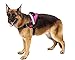 Big Dog Harness Soft Reflective No Pull Pink Size M 20-26inch