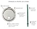 Simple Goods 2 Pack Kids Stainless Steel Sippy Cup Tumbler with Straw, Lid & Bag (Tiny, 8 oz, Grey/Teal 2 Pack)