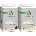 Sunwarrior Vegan Active Protein Powder High Performance Sugar Free Plant Based Protein Powder Post Workout Recovery Drink for Athletes
