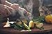 Original ALMAZAN KNIVES Hand Forged Kitchen Chef Knife in High Carbon Steel with Original Leather Sheath