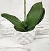 LIVILAN White Silk Artificial Orchids Arrangements with Ceramic vase for Decoration Fake Flowers for Table Centerpiece Home Decor Office Wedding Party Vivid Lifelike