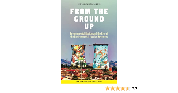 From The Ground Up Environmental Racism And The Rise Of The Environmental Justice Movement Cole Luke W Foster Sheila R 9780814715376 Books Amazon Ca