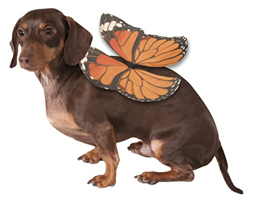 Rubies Costume Monarch Butterfly Wings Dog Costume