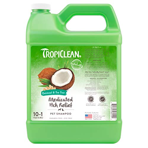 TropiClean Oatmeal & Tea Tree Medicated Dog Shampoo, 1 Gallon