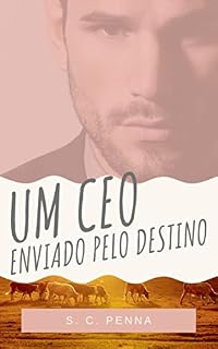 Livro Um CEO enviado pelo destino