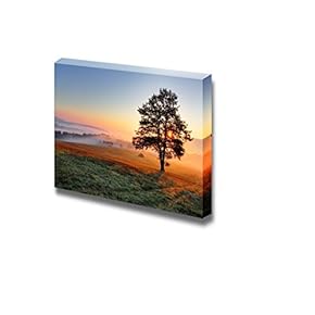 Canvas Prints Wall Art - Beautiful View/Scenery of a Tree on Meadow at Sunset | Modern Wall Decor/Home Decoration Stretched Gallery Canvas Wrap Giclee Print & Ready to Hang - 12" x 18"