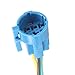 E Support 16mm 12V 3A Car Blue Light Angel Eye Metal Push Button Switch Socket