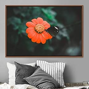 signwin Framed Canvas Wall Art Flora Snapshot Closeup...