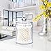 Qtip Dispenser Holder Apothecary Jars Bathroom,Premium Quality Clear Plastic Acrylic Organizer for Q-Tips,Cotton Swab,Cotton Ball,Cotton Rounds | Small,10-Once