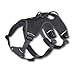 RUFFWEAR - Web Master Dog Harness with Lift Handle, Twilight Gray (2016), X-Small