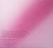 Calvin Klein Euphoria Blossom for Women - 3.4 Oz EDT Spray