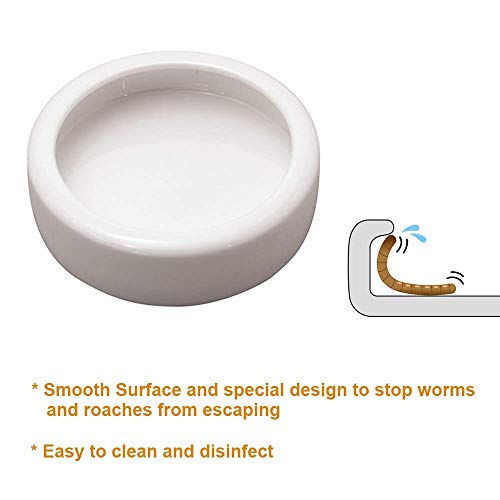 1 SciEdu+Feeding+Tweezers+Ceramic+Reptile