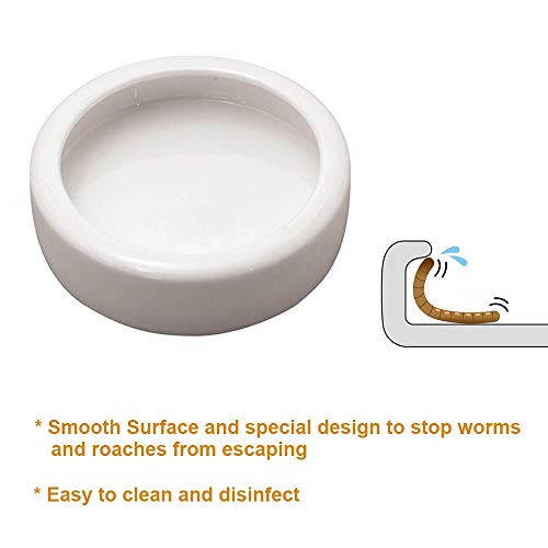 Vowcarol Reptile Dish with Feeding Tweezers Tongs, Ceramic Reptile Feeding Bowl-M