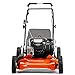 Husqvarna LC121P, 21 in. 163cc Briggs & Stratton Lawn Mower