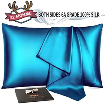 Winjoy Silk Pillowcase for Hair and Skin,22 Momme 100% Natural Mulberry Silk Pillowcases Queen Size with Hidden Zipper,Soft Breathable Both Sides Pure Silk,1Pack,Teal