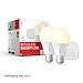 Sengled Smart Light Bulb Starter Kit, Smart Bulbs That is Compatible with Google Home, 2700K Soft White Light Bulbs, A19 E26 Dimmable Bulbs 800LM, 9 (60W Equivalent), 2 Bulbs with Hub, New