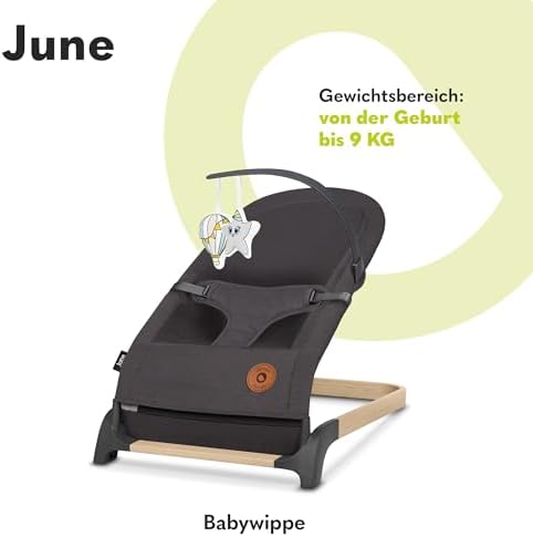 June Babywippe, ab den ersten Lebenstagen bis zu 9kg