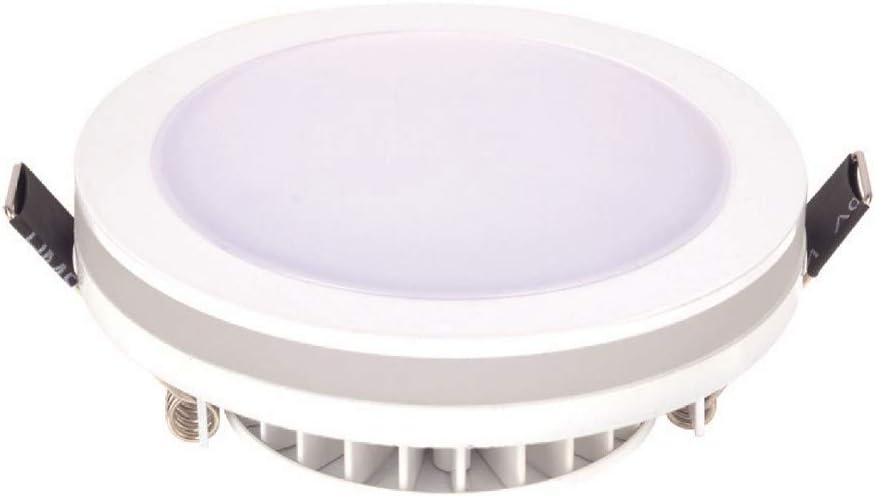 Fbright Led Dwonlight, White