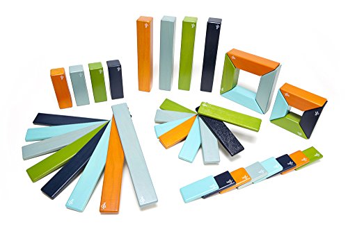 40 Piece Tegu Explorer Magnetic Wooden Block Set, Nelson