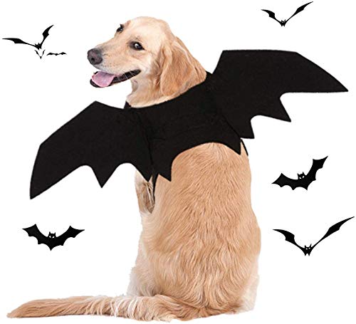 JHFY Cat Bat Costume - Black Cat Bat Wings Cosplay - Pet Costumes Apparel for Cat Small Dogs Puppy for for Small Dogs and Cats Dress Up Accessories (Bat Wings)
