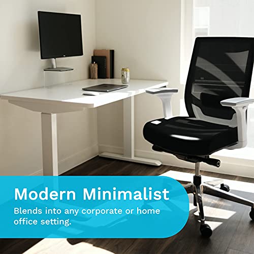 EasyErgo Apollo Ergonomic Chair Ergo Mesh Design for Computer Desk Work Comfortable Office