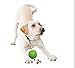 Super durable colorful dog chew toys. Indestructible toys for outdoor and IQ treat ball for indoors. Best gifts for dogs.